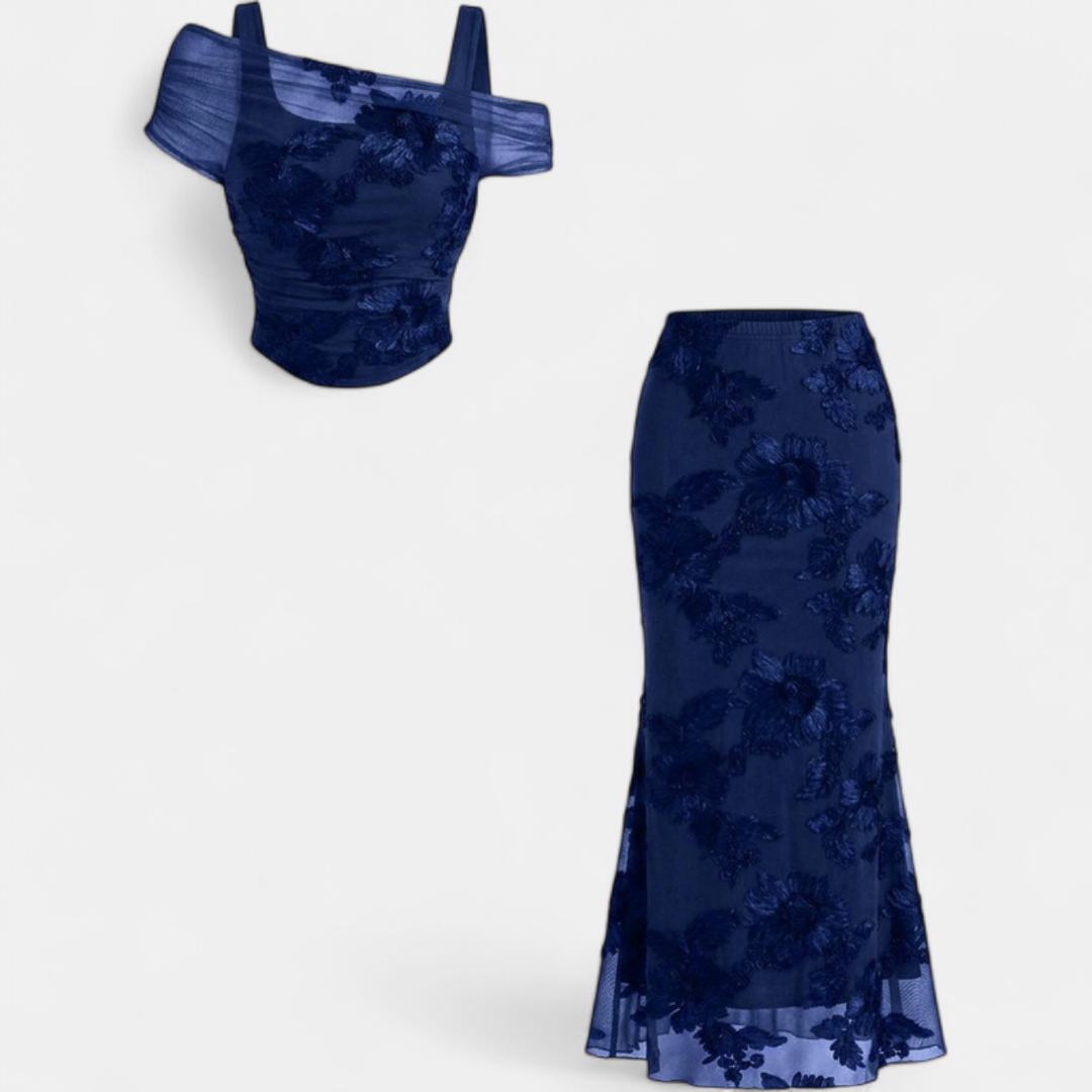 Conjunto de Vestido Largo de Sirena con Bordado de Malla para Mujer